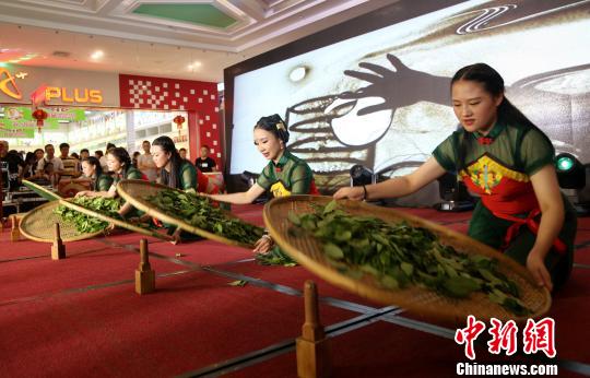 制茶表演。供图 制茶表演。供图