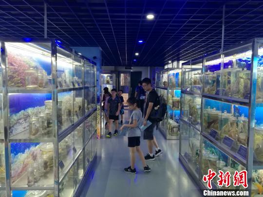 2018台北少年乒乓球广州暑期训练营团参观南海海洋生物标本馆。 郭军 摄 2018台北少年乒乓球广州暑期训练营团参观南海海洋生物标本馆。 郭军 摄