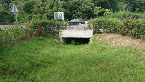 ʯ���������������������ȵ���̨�塶����ðɡ����߷��ٴ�/��Ӱ