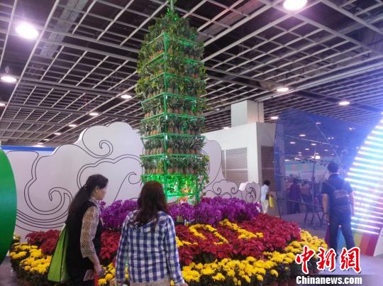 �ھŽ��Ͼ�ũҵ���껪����194��̨�������ɵ�̨��101��¥����������