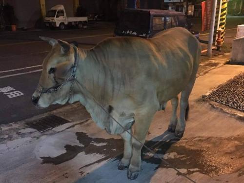 ˩���ɳ����ſڵĴ��ţ��̨�塶���ϱ����������Ľ�/����