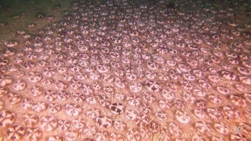 ����̨��Ѷ��������������ɺ�����Ⱥ�۵���������̨�塶��ʱ���ӱ�������л�ѝ�����