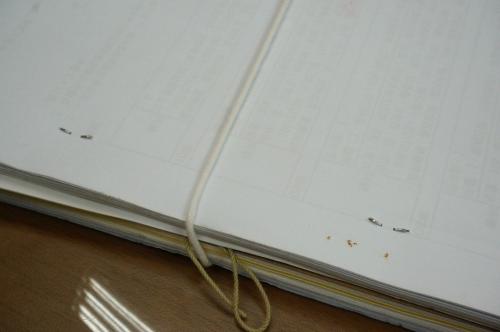 ���۵ؼ���췽��Ա�������ڵĶ��鶤�̵�������Ѫ��̨�塶���ϱ��������ֲ���/��Ӱ