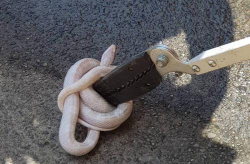 ���߳�������լ�У�����Ա�Բ��߼в���̨�塶���ϱ���/�����������ֹ�ͼ