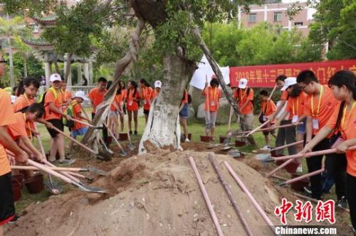 �������깲ֲ����������ţЧ�� ��