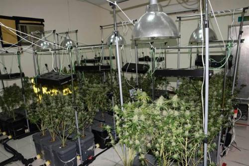 �ֿ��ڣ��������������ֳ���̨�塶��ʱ���ӱ��������Ƿ���