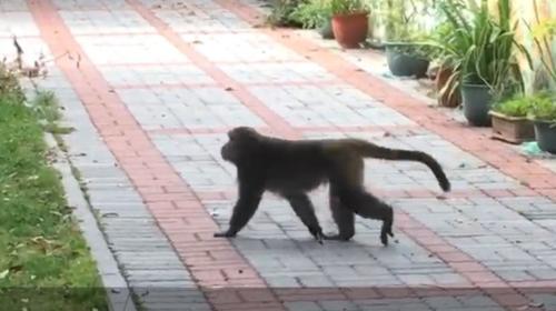 ⨺�������̨�塶���ϱ������߳�����/����