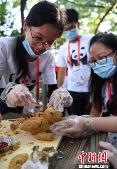 两岸大学生们戴着口罩和手套,“全副武装”为大熊猫制作“窝窝头”。张斌 摄 张斌 摄 两岸大学生们戴着口罩和手套,“全副武装”为大熊猫制作“窝窝头”。张斌 摄 张斌 摄