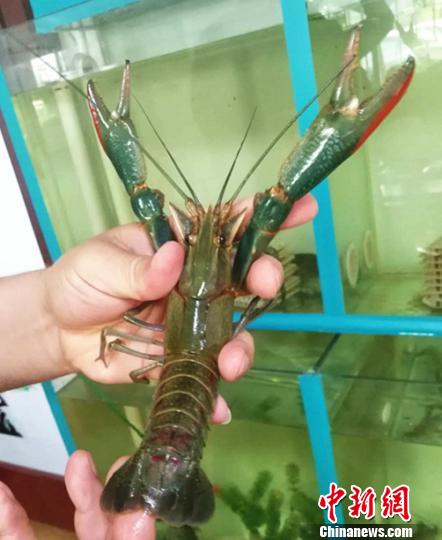 ���޵�ˮ�߲���Ϻ��ͷ˶�󡣡������� ��