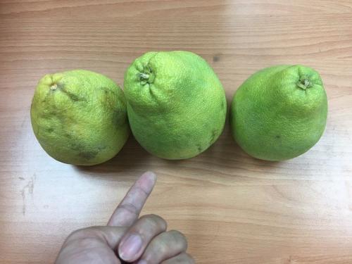 �ĵ��ֳ�Ϊ̨���ϰ�������յ���������Ʒ��̨�塰�����硱����ͼ